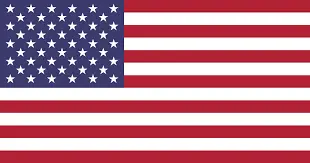 american flag-Elmhurst